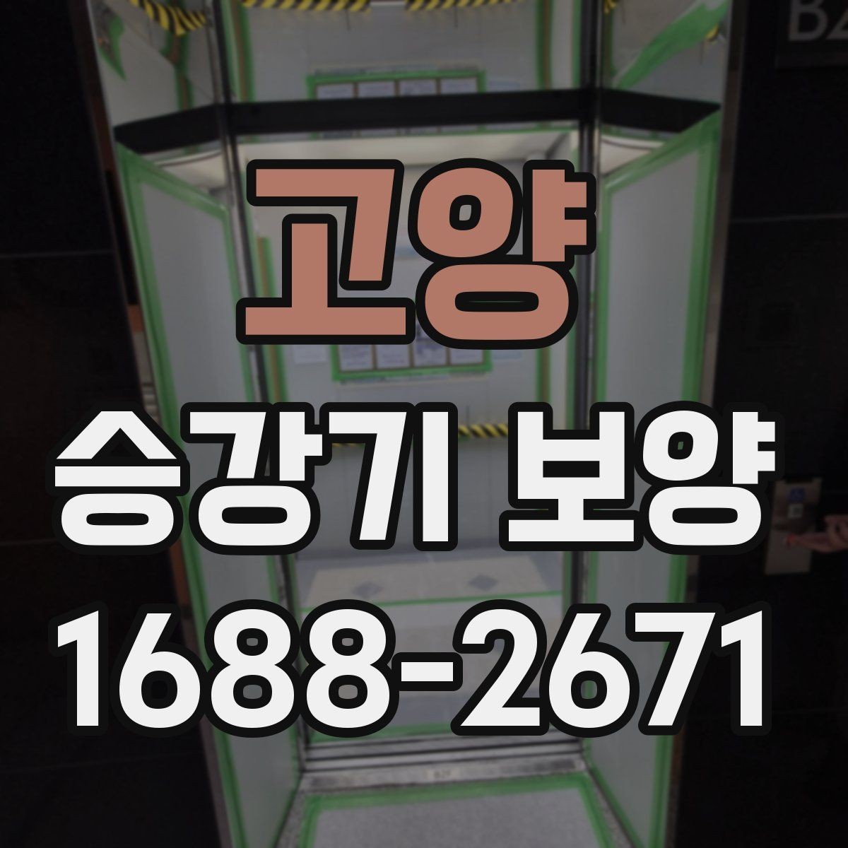 고양 승강기 보양 시 계절별 관리 포인트