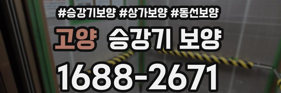 고양 승강기 보양