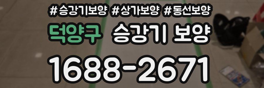 덕양구 승강기 보양