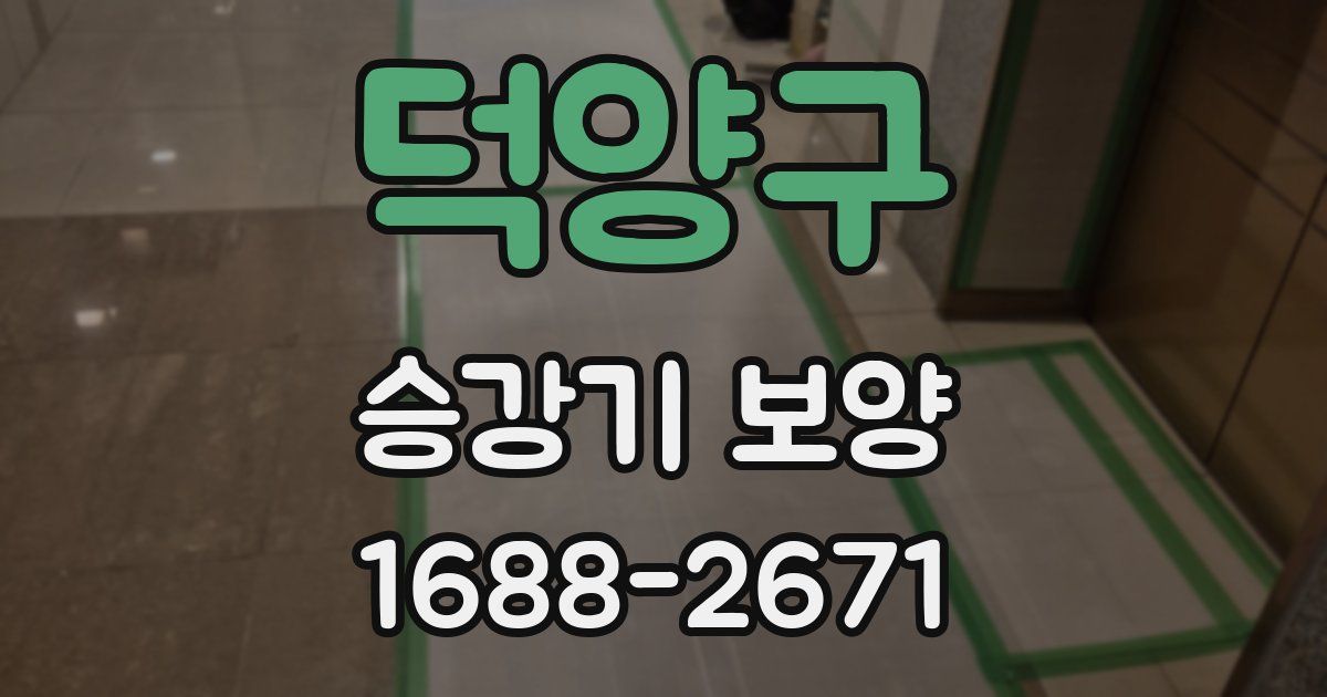 덕양구 승강기 보양