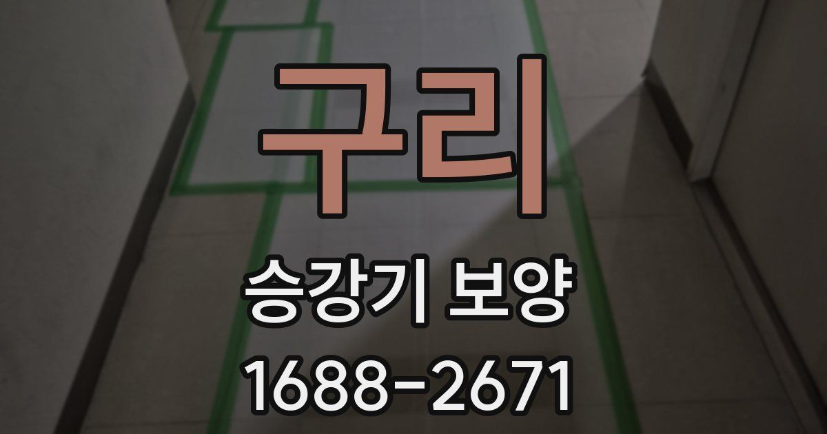 구리 승강기 보양