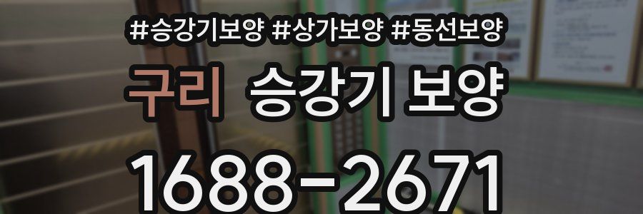 구리 승강기 보양