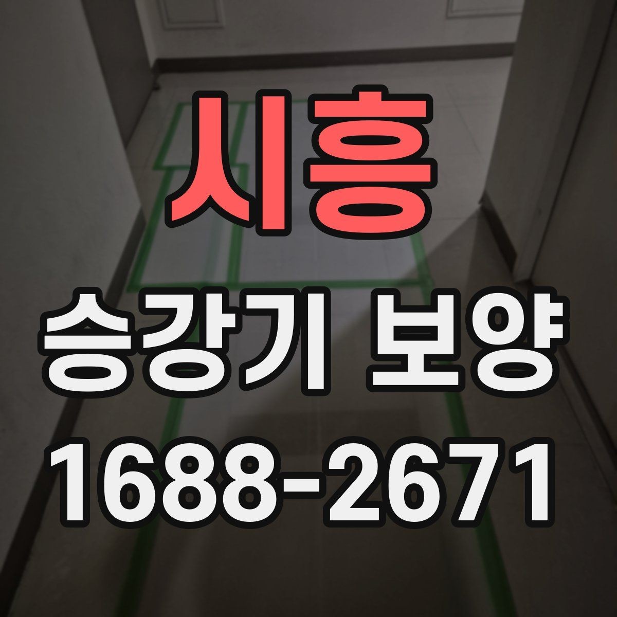 시흥 승강기 보양 작업 흐름을 한눈에 정리