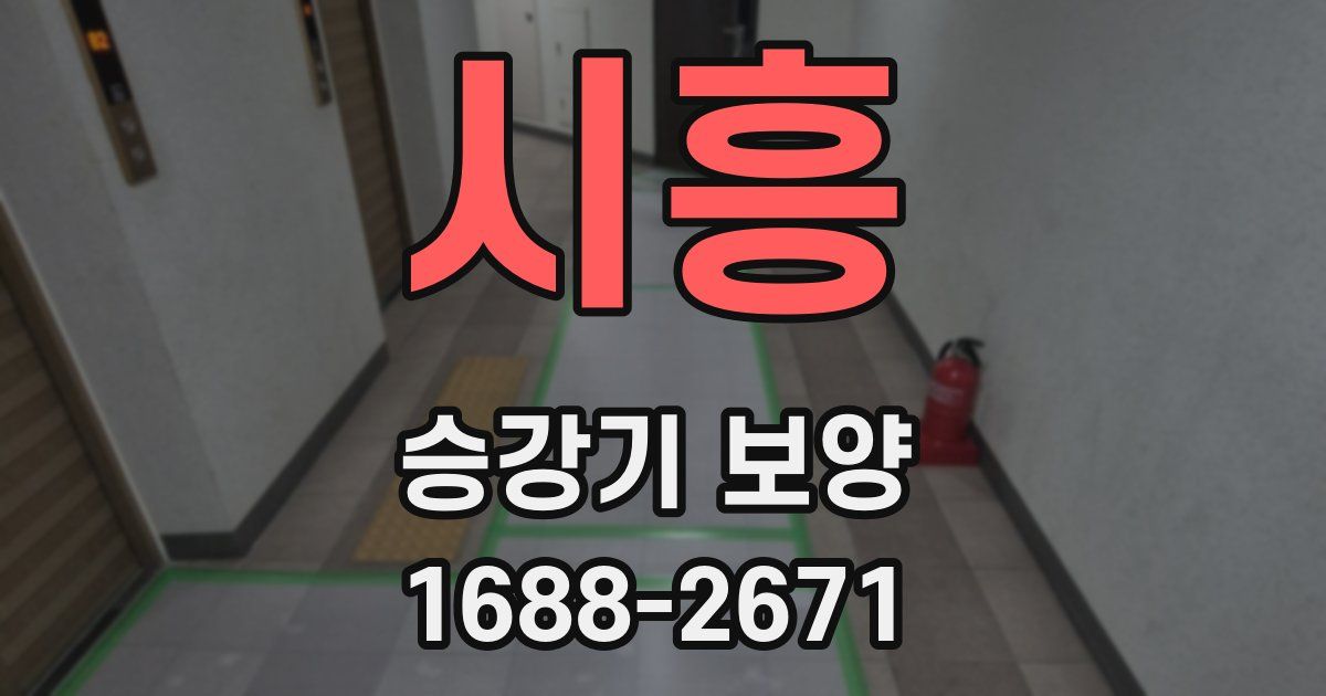 시흥 승강기 보양