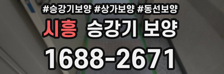 시흥 승강기 보양