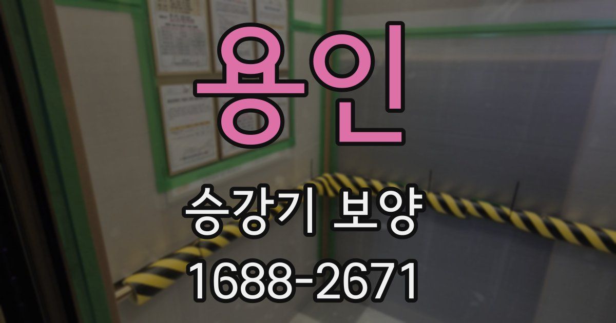 용인 승강기 보양