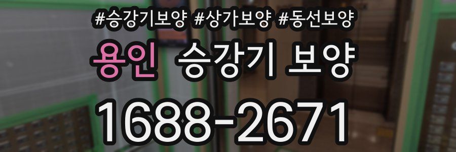 용인 승강기 보양
