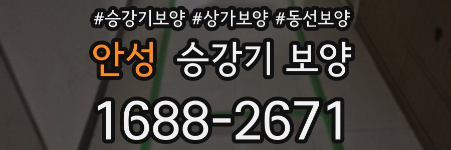 안성 승강기 보양