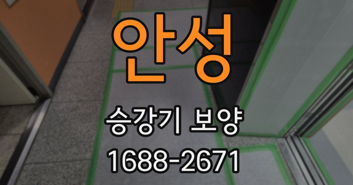 안성 승강기 보양