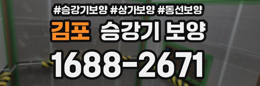 김포 승강기 보양