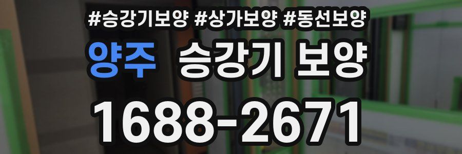 양주 승강기 보양