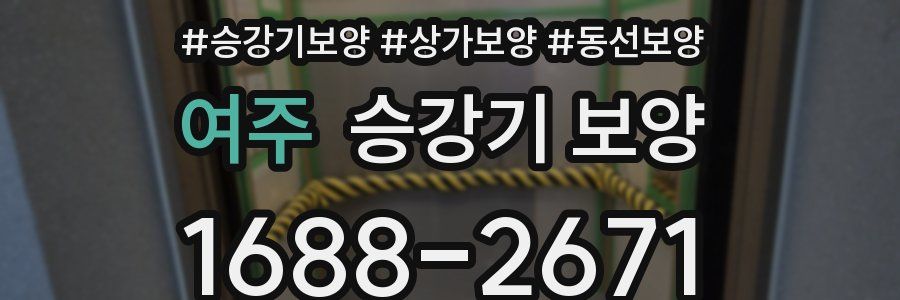 여주 승강기 보양