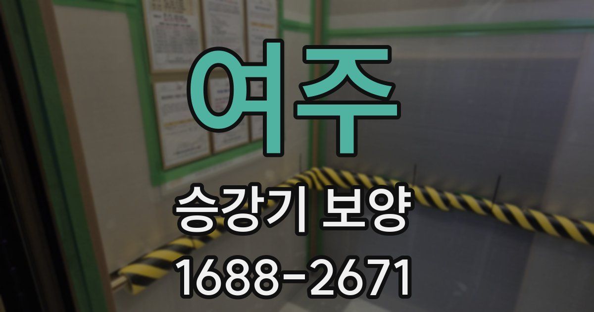 여주 승강기 보양