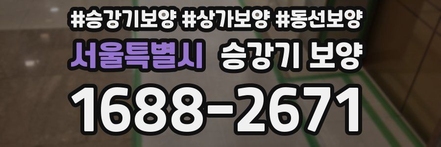 서울특별시 승강기 보양