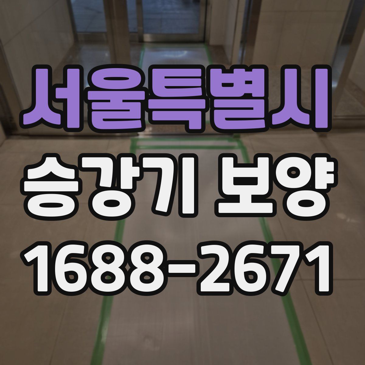 서울특별시 승강기 보양