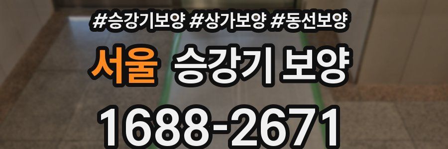 서울 승강기 보양