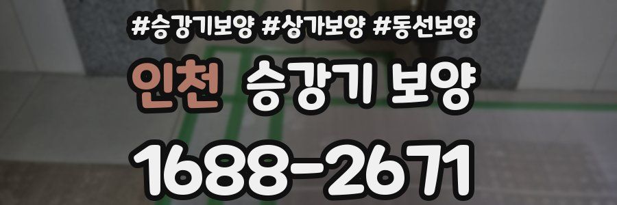 인천 승강기 보양