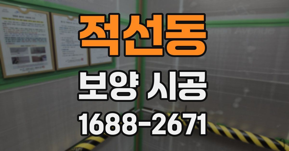 적선동 보양 시공