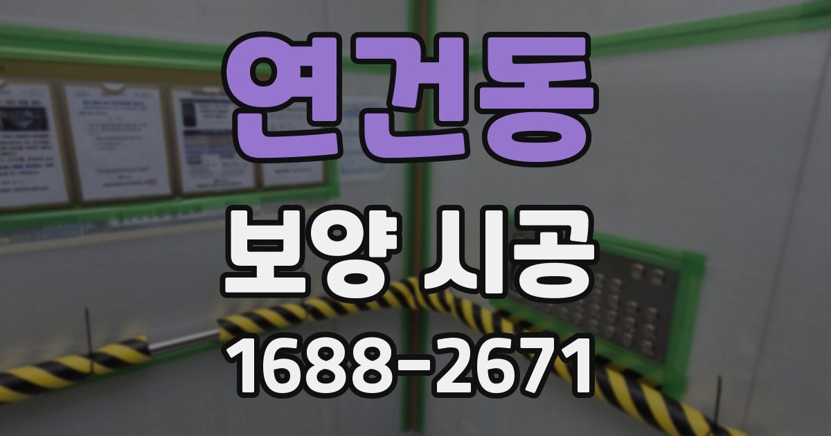 연건동 보양 시공