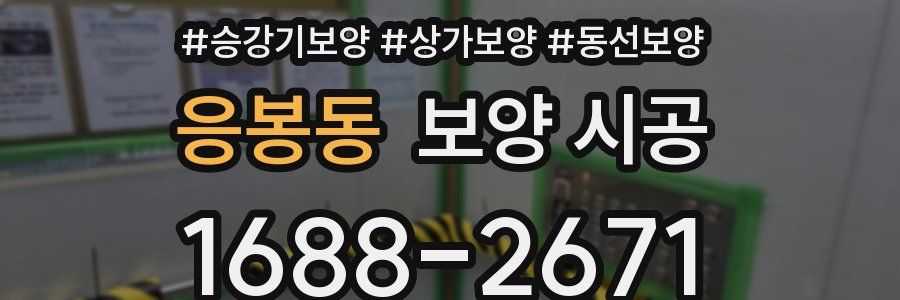 응봉동 보양 시공