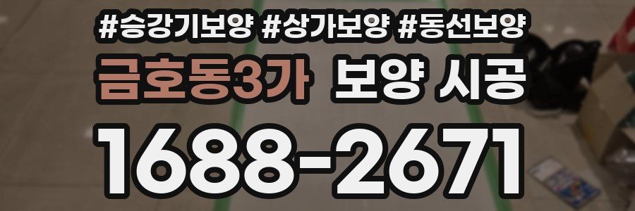 금호동3가 보양 시공
