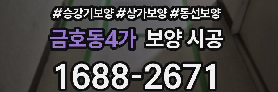 금호동4가 보양 시공