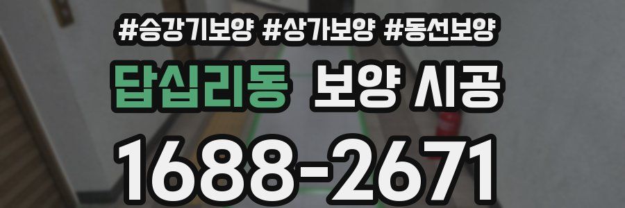 답십리동 보양 시공