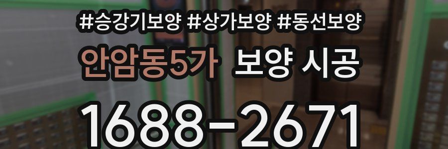 안암동5가 보양 시공