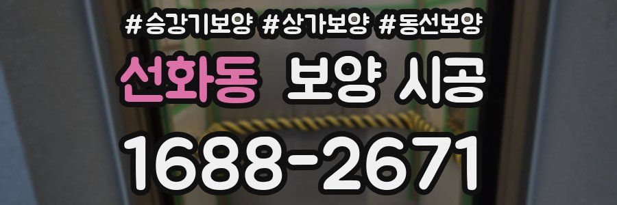 선화동 보양 시공