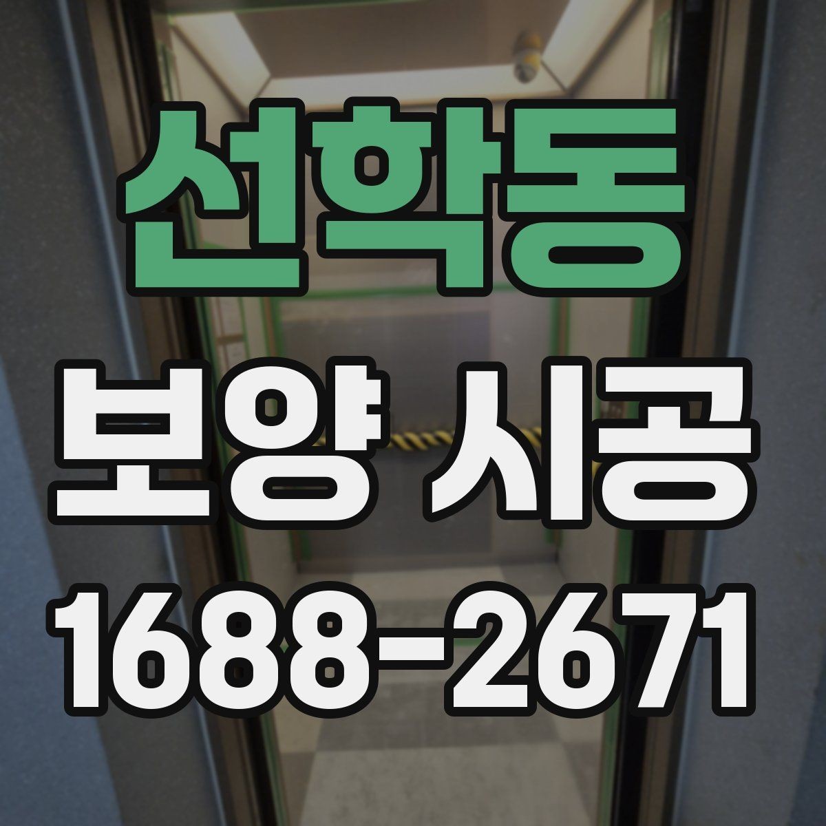 선학동 보양 시공 공정별 확인사항과 주의점