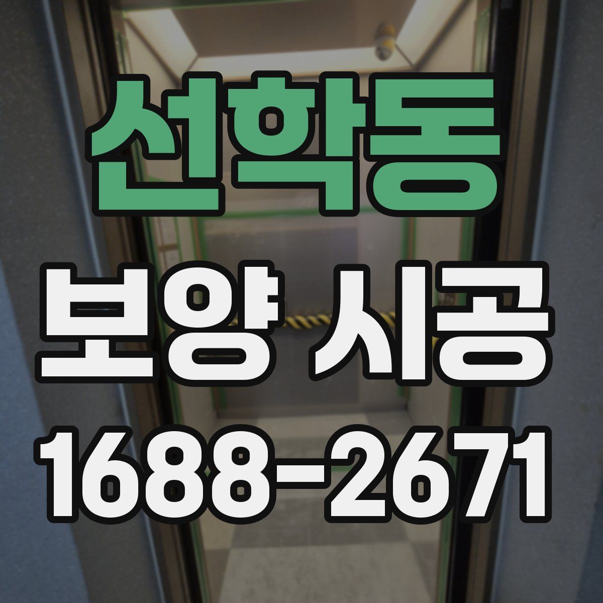 선학동 보양 시공