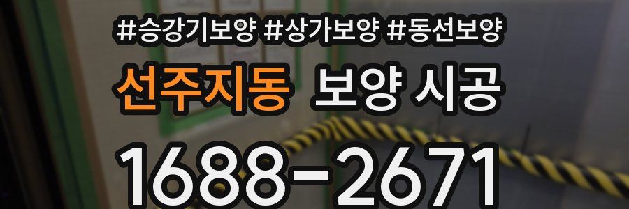선주지동 보양 시공