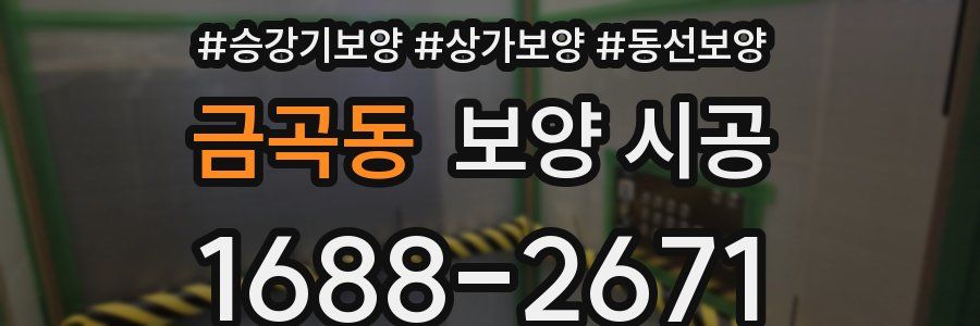 금곡동 보양 시공