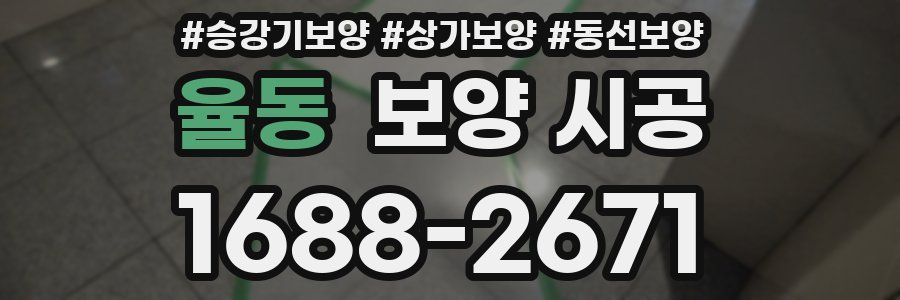 율동 보양 시공