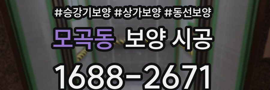 모곡동 보양 시공