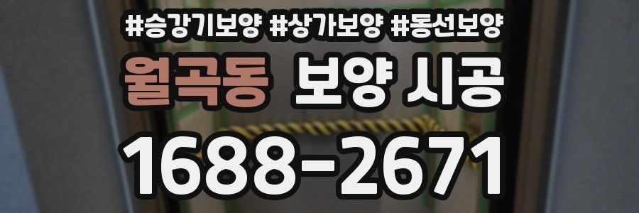 월곡동 보양 시공