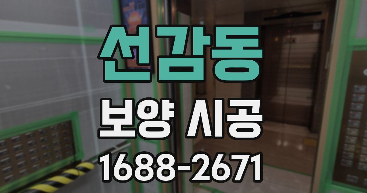 선감동 보양 시공