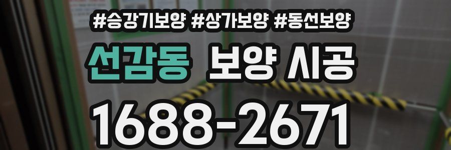 선감동 보양 시공