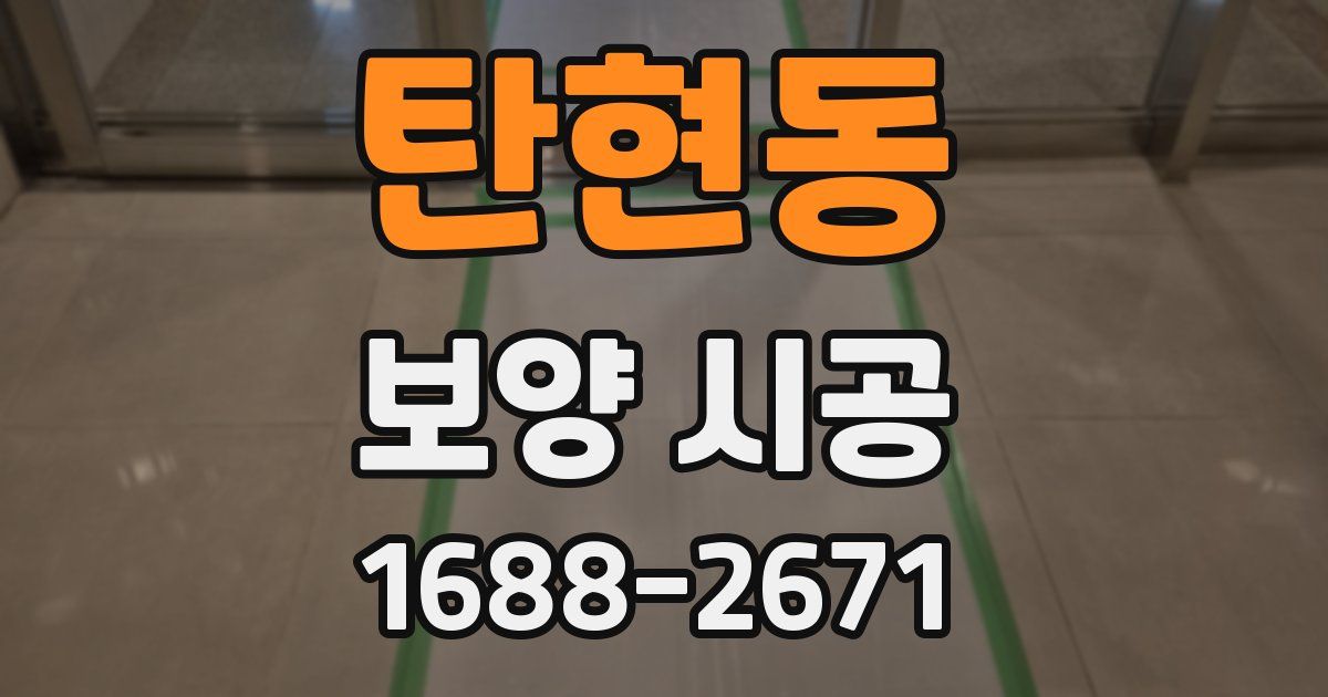 탄현동 보양 시공