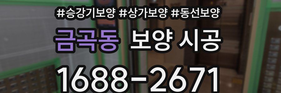 금곡동 보양 시공