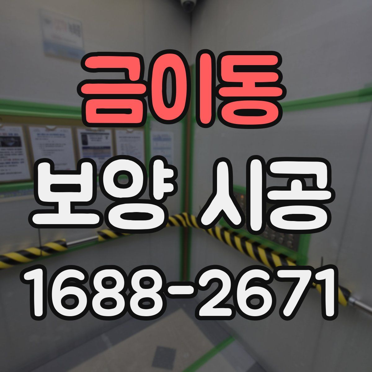 금이동 보양 시공