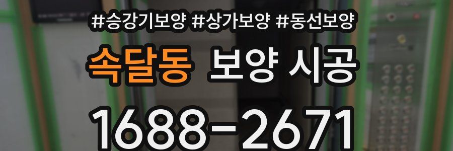 속달동 보양 시공