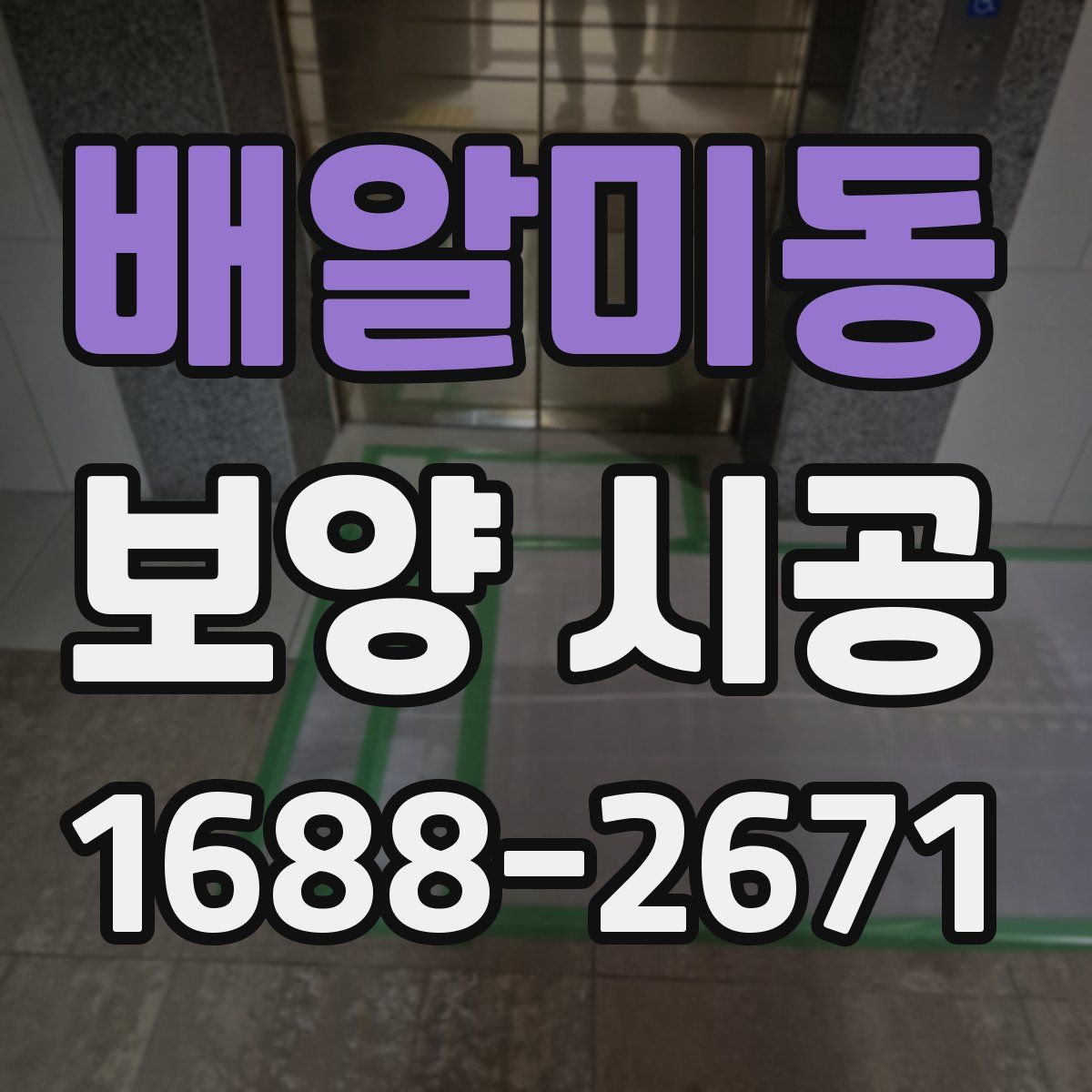 배알미동 보양 시공