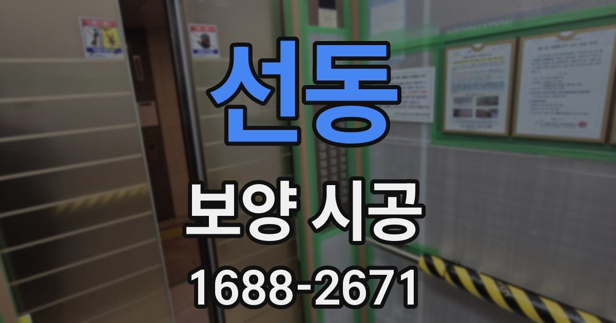 선동 보양 시공
