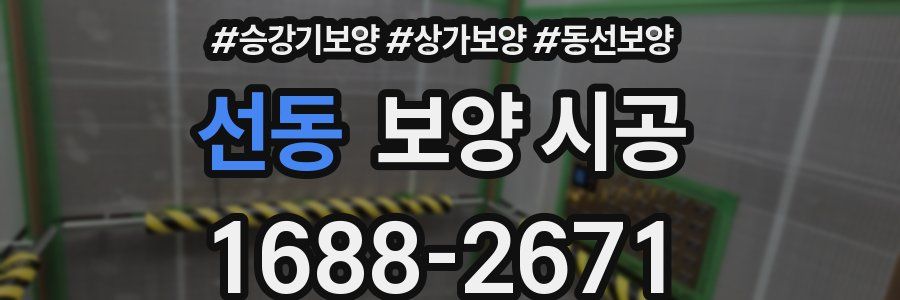 선동 보양 시공