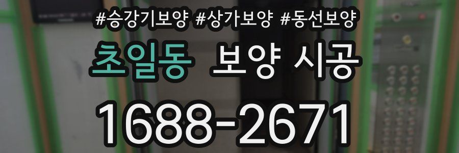 초일동 보양 시공
