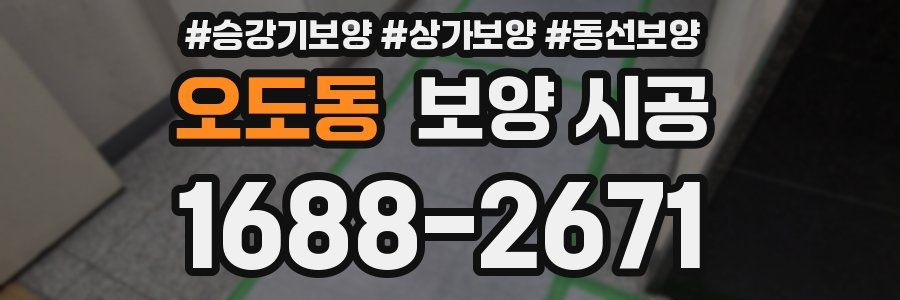 오도동 보양 시공