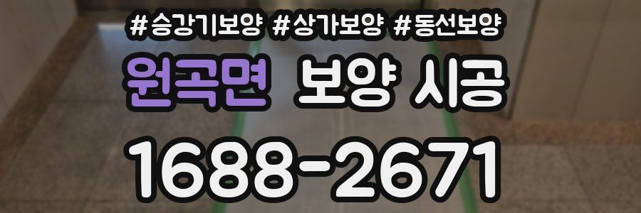 원곡면 보양 시공