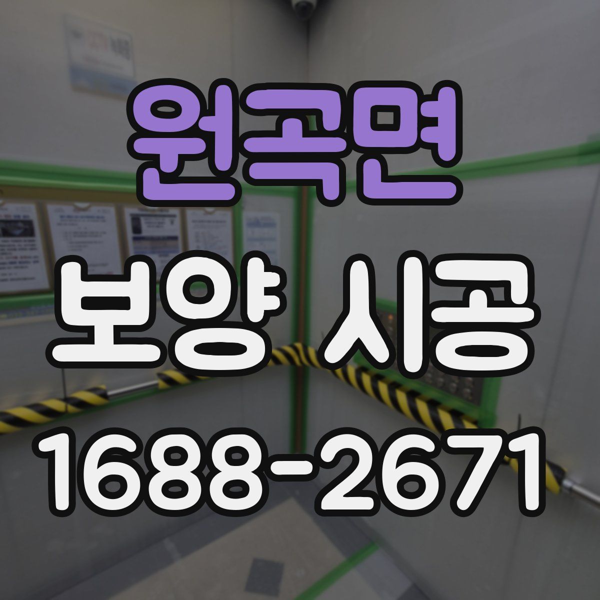원곡면 보양 시공