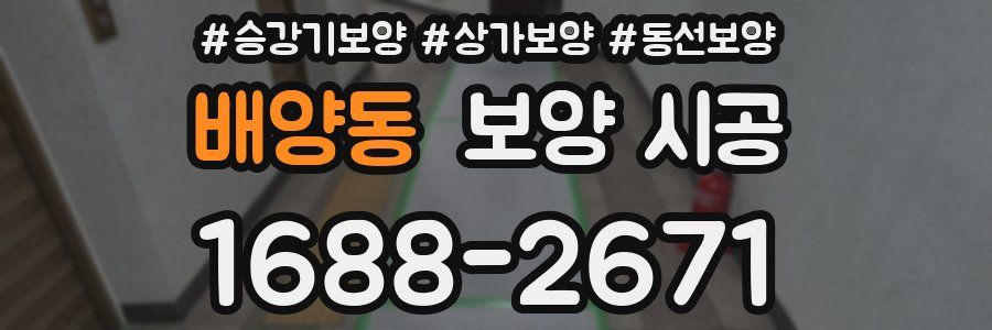 배양동 보양 시공